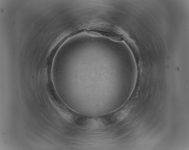 X0000072940250200607211109