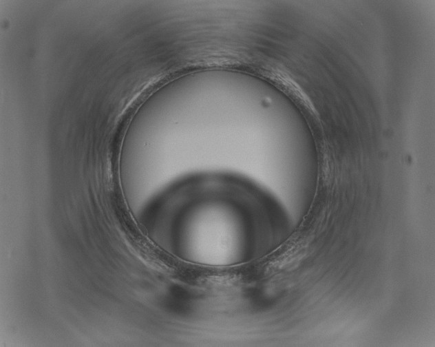 X0000072940251200607211109