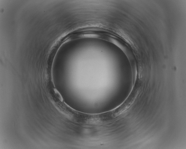 X0000072940252200607211109