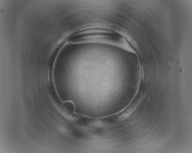 X0000072940253200607211109