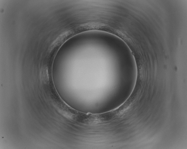 X0000072940254200607211109