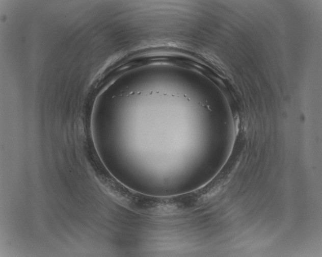 X0000072940256200607211109