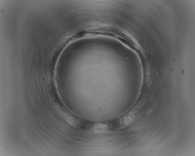 X0000072940257200607211109