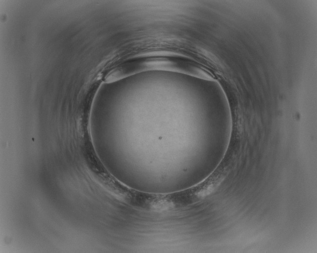 X0000072940258200607211109