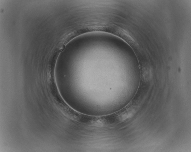 X0000072940259200607211109