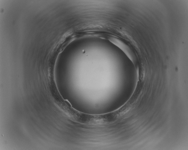 X0000072940260200607211109