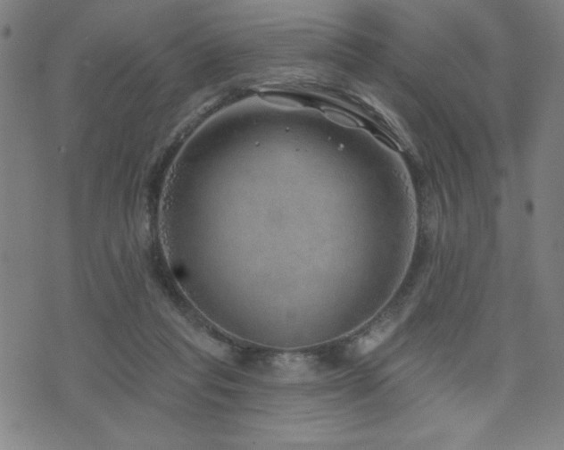 X0000072940261200607211109