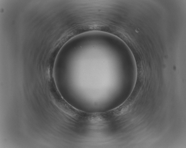 X0000072940262200607211109