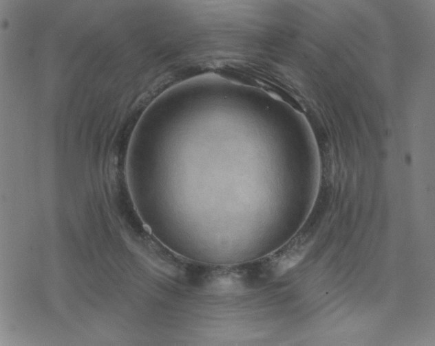 X0000072940263200607211109