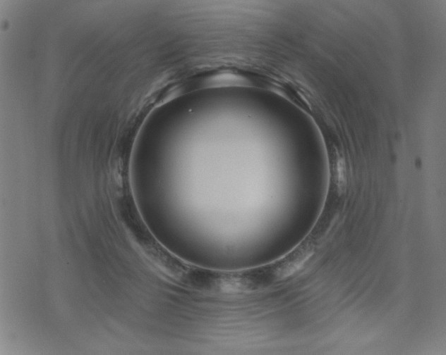 X0000072940264200607211109