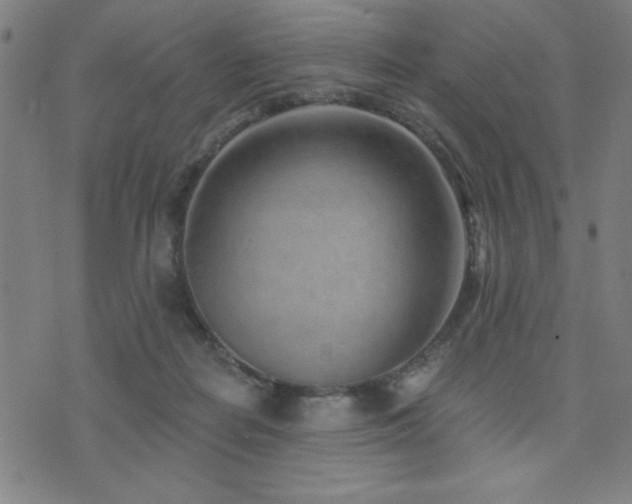 X0000072940266200607211109