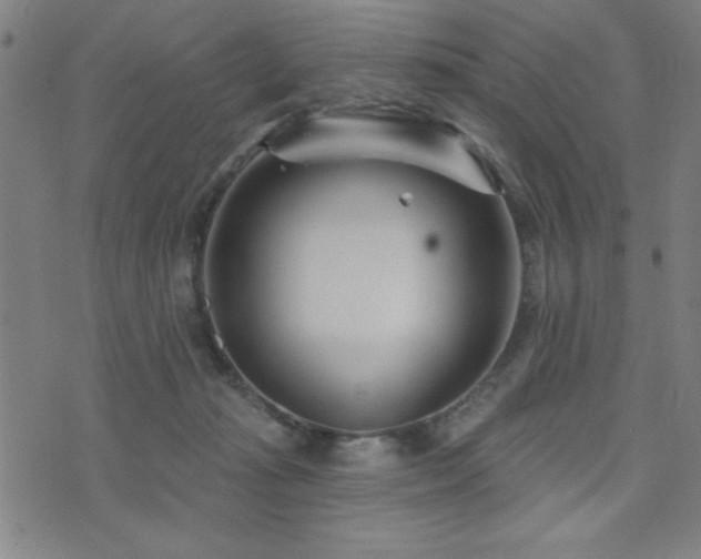 X0000072940269200607211109