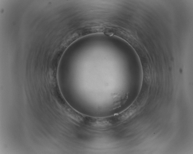 X0000072940270200607211109