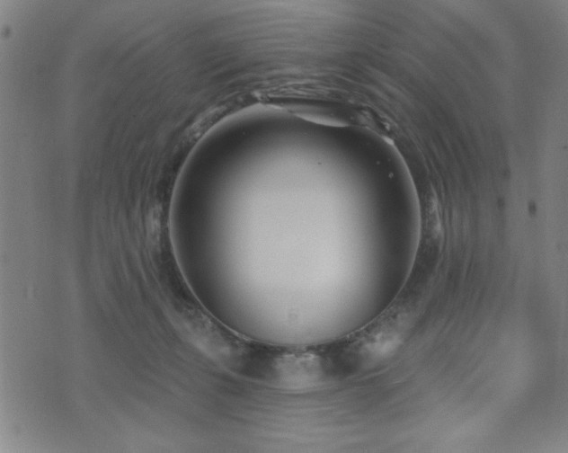 X0000072940271200607211109