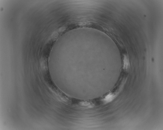 X0000072940272200607211109