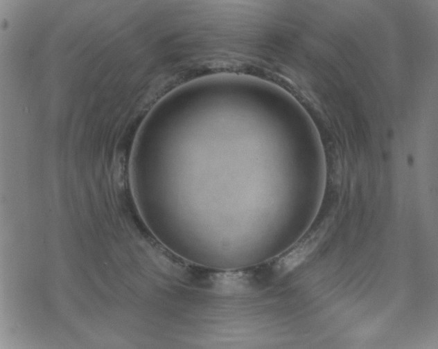 X0000072940273200607211109