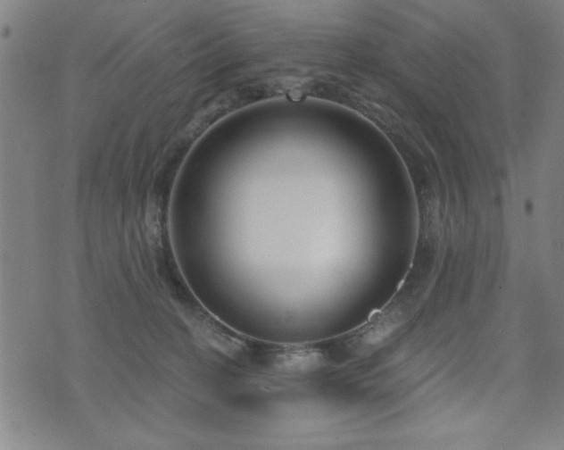 X0000072940274200607211109