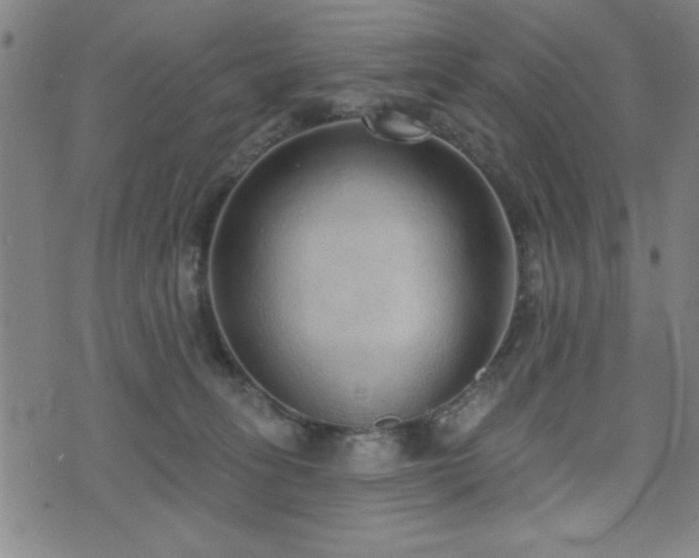 X0000072940275200607211109