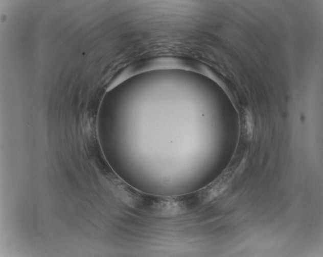 X0000072940276200607211109