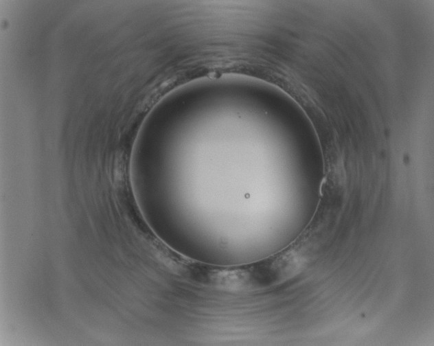 X0000072940277200607211109