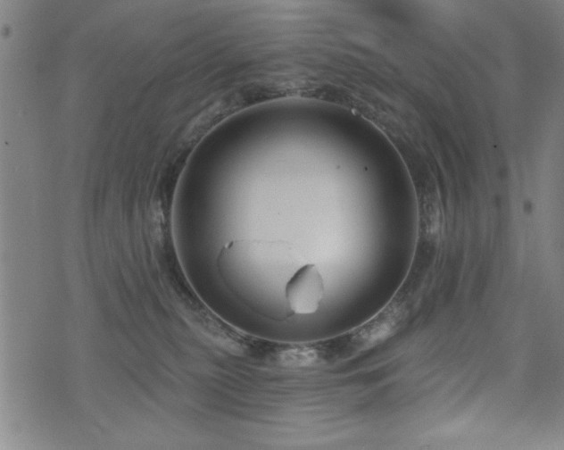 X0000072940279200607211109