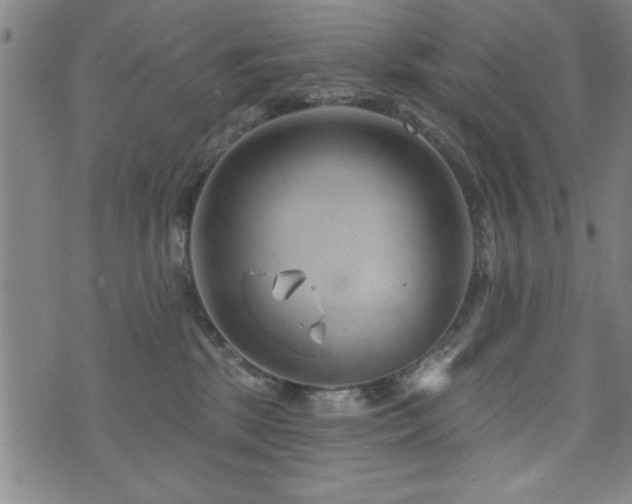 X0000072940281200607211109