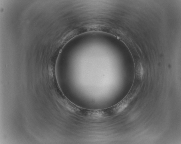 X0000072940282200607211109