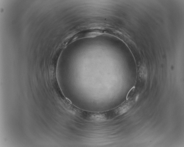 X0000072940283200607211109