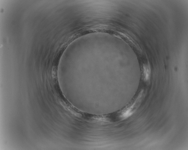 X0000072940284200607211109