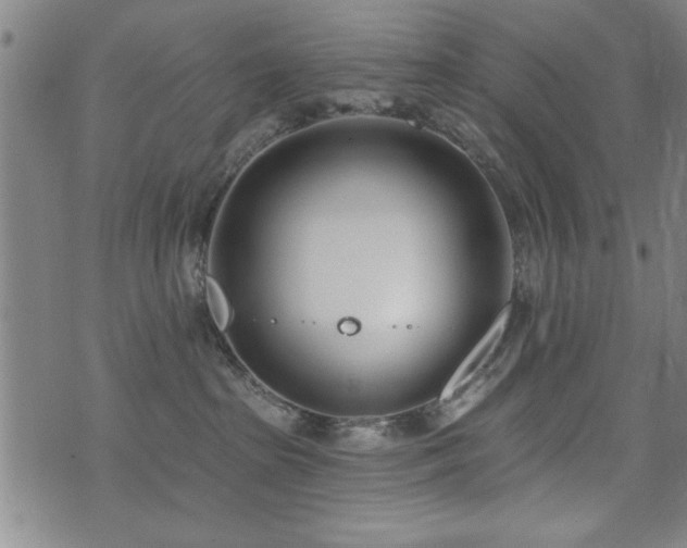 X0000072940285200607211109