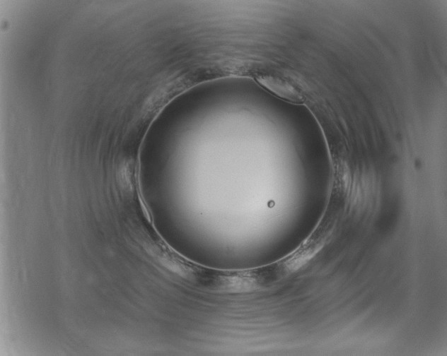 X0000072940286200607211109