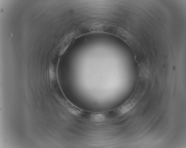 X0000072940287200607211109