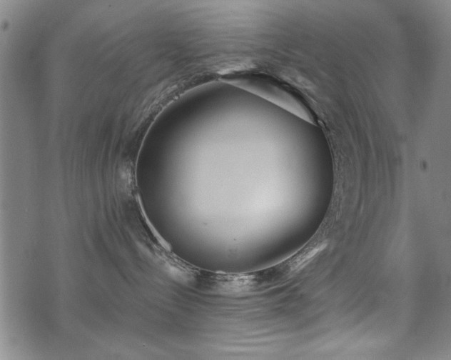 X0000072940288200607211109