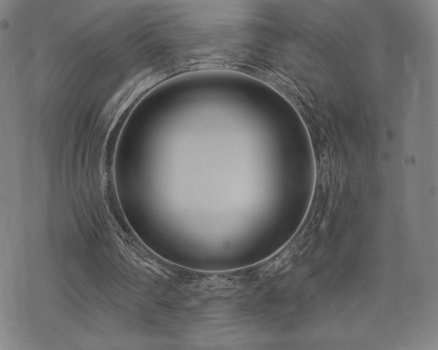 X0000072940290200607211109