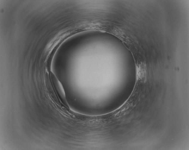 X0000072940291200607211109