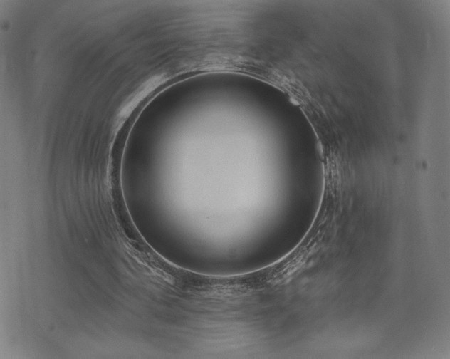 X0000072940292200607211108