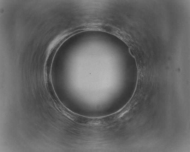 X0000072940294200607211108