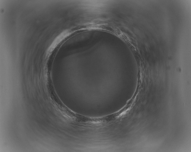 X0000072940295200607211108