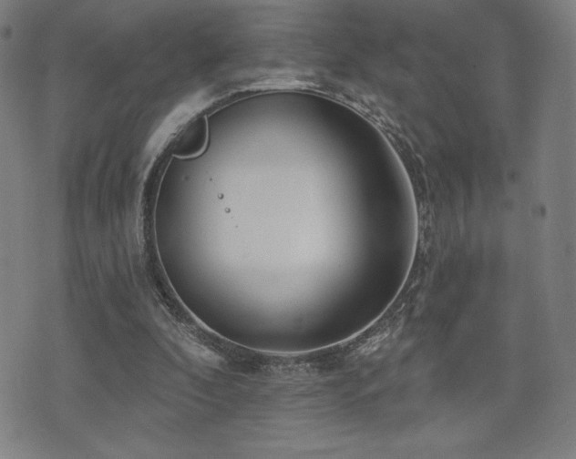 X0000072940296200607211108