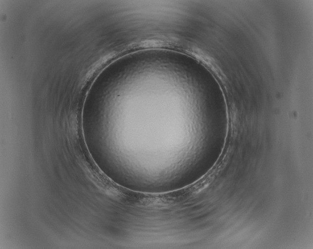 X0000072940297200607211108