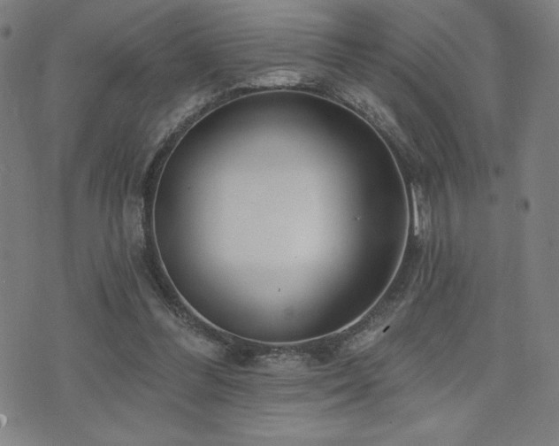 X0000072940300200607211108