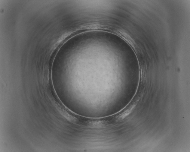 X0000072940301200607211108