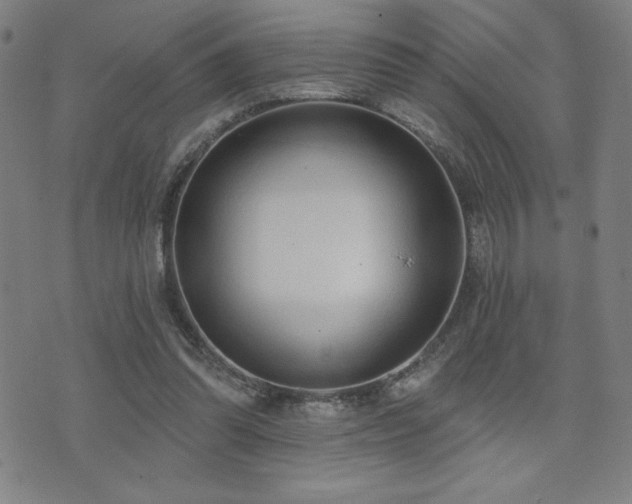 X0000072940302200607211108