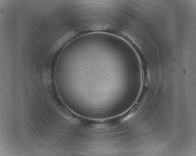 X0000072940303200607211108