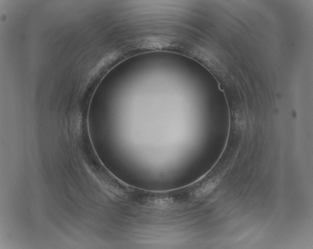 X0000072940304200607211108