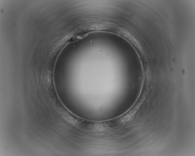 X0000072940305200607211108