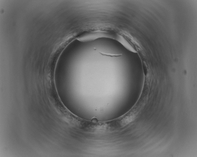 X0000072940306200607211108