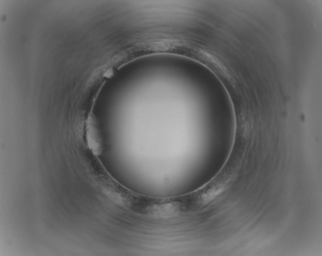 X0000072940307200607211108