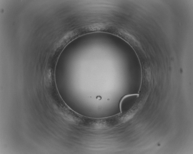 X0000072940308200607211108