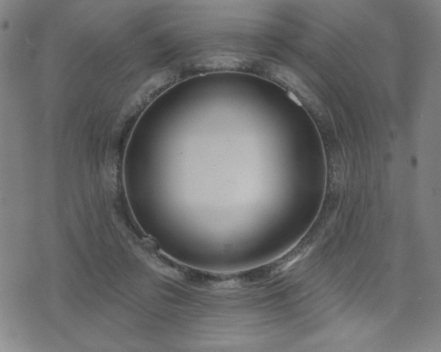 X0000072940309200607211108